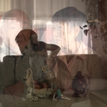 Filename=097.jpg
Filesize=125KiB
Dimensions=1920x1072
Date added=Dec 28, 2021 097.jpg