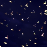 Filename=701.jpg
Filesize=73KiB
Dimensions=1920x1080
Date added=Dec 25, 2021 701.jpg