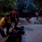 Filename=113.jpg
Filesize=225KiB
Dimensions=1920x1080
Date added=Jun 05, 2024 113.jpg